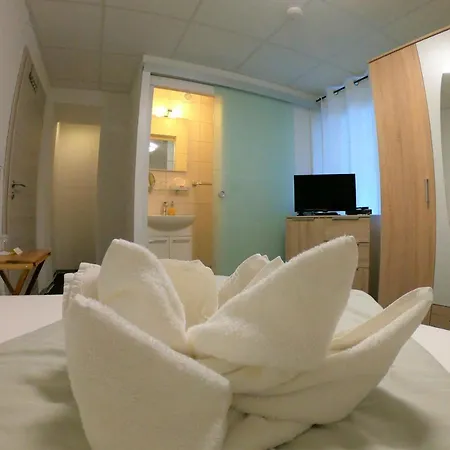 德尔兹伽尼城市酒店