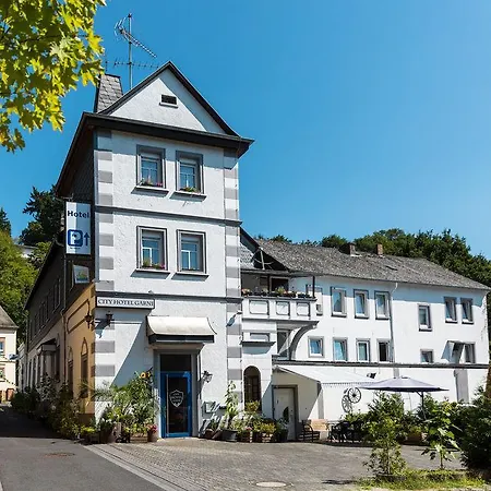 德尔兹伽尼城市酒店 酒店 迭斯