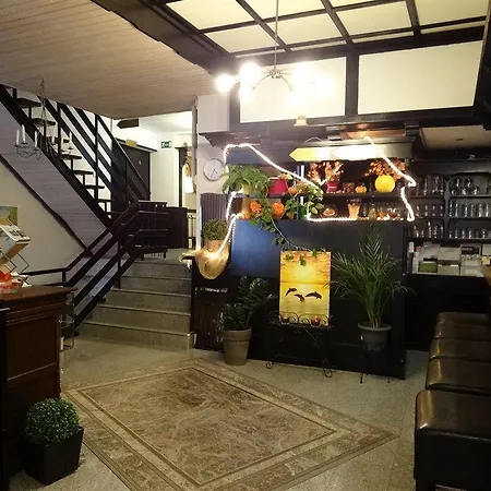 酒店 德尔兹伽尼城市酒店 2*