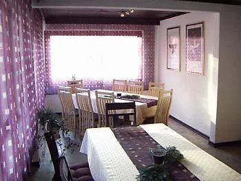 德尔兹伽尼城市酒店 酒店 2*