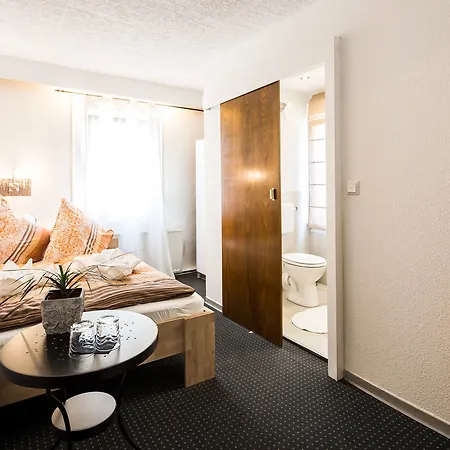 酒店 德尔兹伽尼城市酒店 迭斯