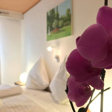 City Hotel Diez