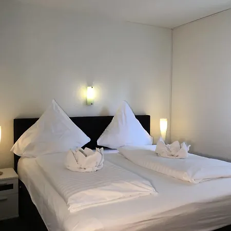 德尔兹伽尼城市酒店 2*